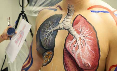 Helsingissä marraskuussa pidetyssä tupakkaseminaarissa oli mukana body paintingin maailmanmestari Riina Laine, joka maalasi mallien iholle tupakoitsijan keuhkot. Kuva: Tuomas Mäkinen