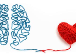 villanlangasta tehty aivot on yhteydessä villalangasta tehtyyn sydämeen